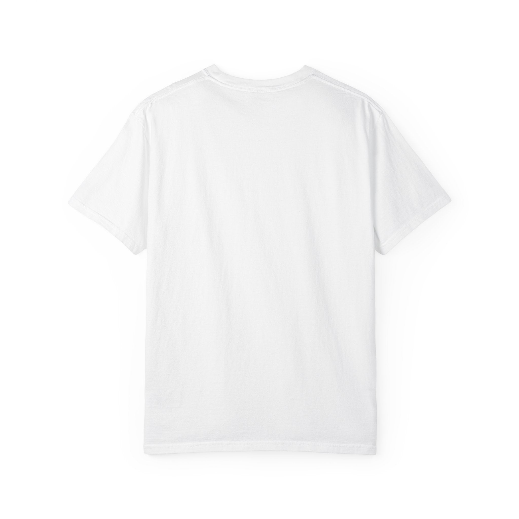 Steven Seagal Armbar T-Shirt — "Older Brother Shows a New Wrestling Move" Graphic Tee