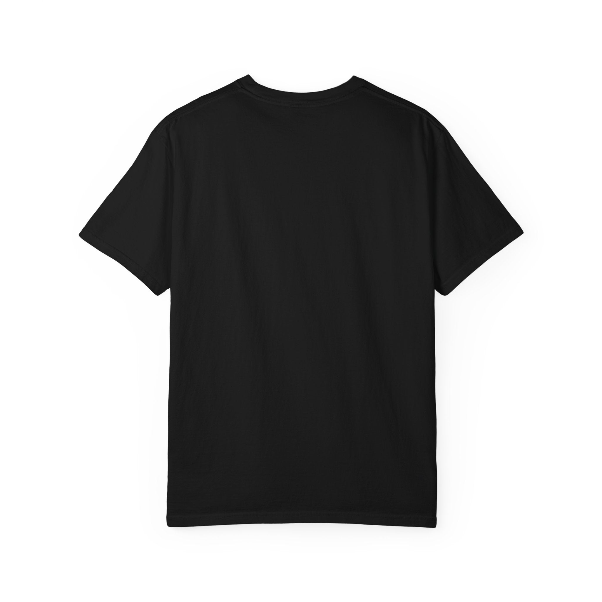 Steven Seagal Armbar T-Shirt — "Older Brother Shows a New Wrestling Move" Graphic Tee